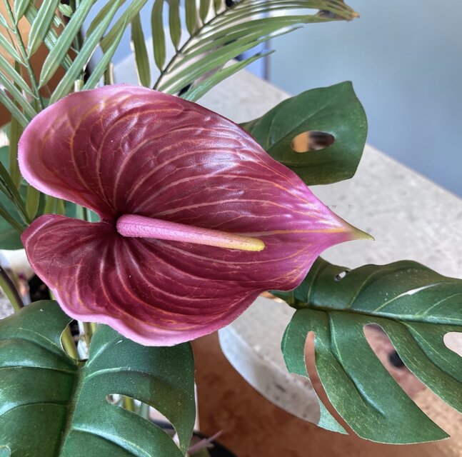 光触媒 人工観葉植物 ウォールグリーン フェイクグリーン アレカヤシと