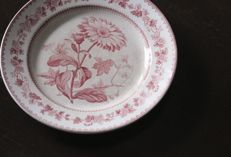 Creil クレイユ 平皿 植物柄 20.5cm フランス アンティーク b 0502341