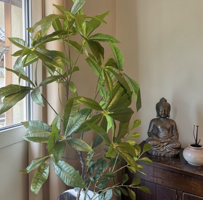 光触媒　観葉植物　ウォールグリーン　フェイクグリーン　特大マジカルウォーター10 光触媒 人工観葉植物 ウォールグリーン フェイクグリーン マジカル