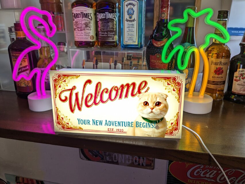 猫種変更 似顔絵 無料】猫 スコティッシュフォールド ペット 店舗 自宅