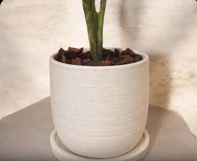 光触媒 人工観葉植物 ウォールグリーン フェイクグリーン クテナンテ