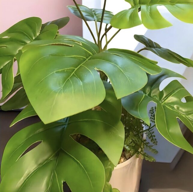光触媒 人工観葉植物 ウォールグリーン フェイクグリーン モンステラ