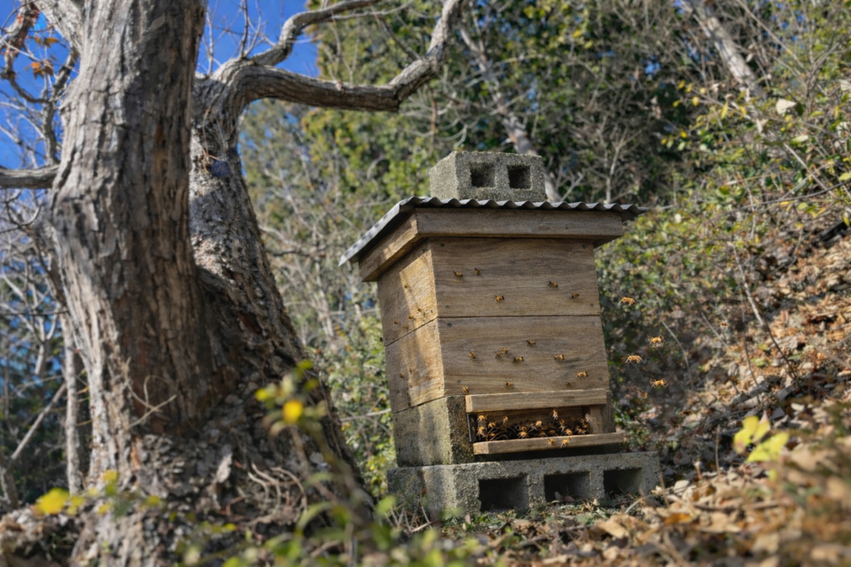 SantaPa里山養蜂箱｜日本ミツバチ重箱式巣箱3段セット｜スノコ付き｜竹