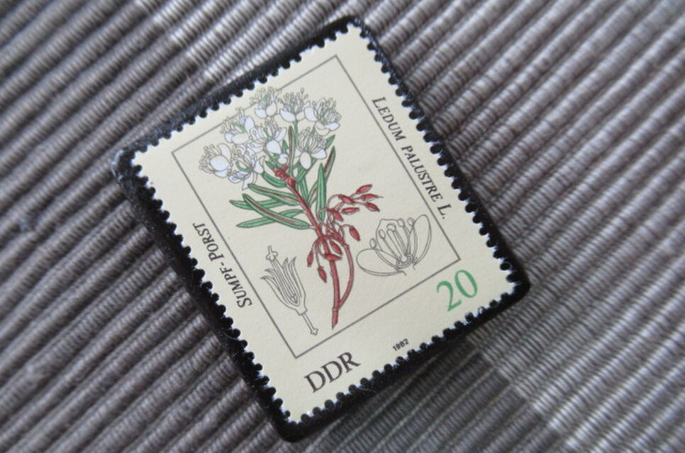 ドイツ1982年 毒のある植物切手ブローチ10844 | iichi 日々の暮らしを