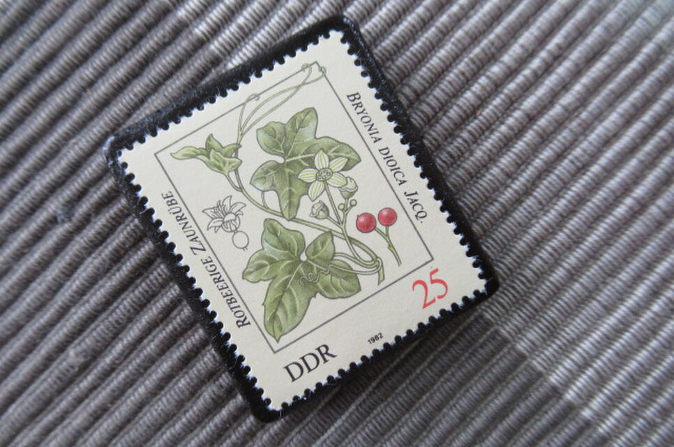 ドイツ1982年 毒のある植物切手ブローチ10845 | iichi 日々の暮らしを