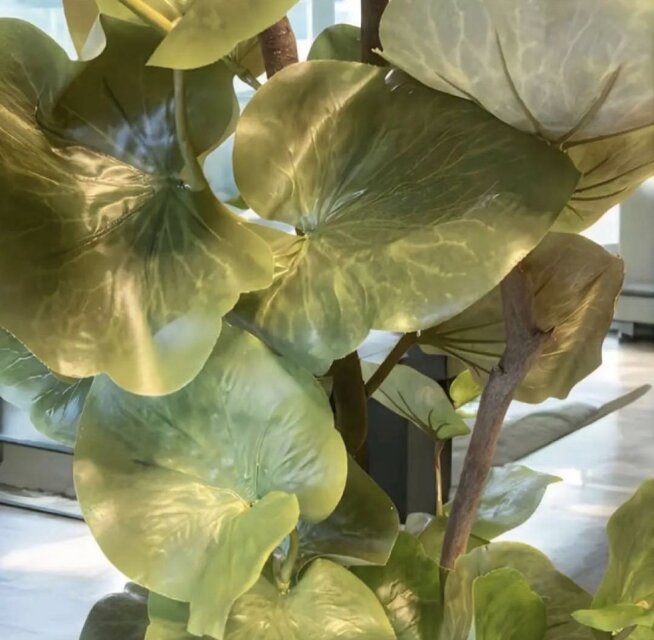 光触媒　観葉植物　ウォールグリーン　フェイクグリーン　スリムディフェンバキア15 光触媒観葉植物ウォールグリーンフェイクグリーンスリムディフェンバキア15