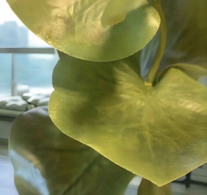 光触媒観葉植物ウォールグリーンフェイクグリーンスリムディフェンバキア15