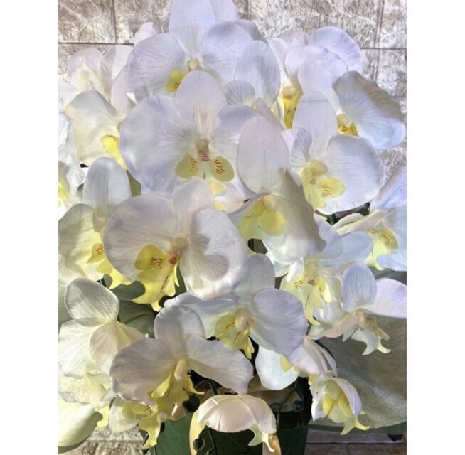 光触媒 人工観葉植物 ウォールグリーン フェイクグリーン 胡蝶蘭6133@j 