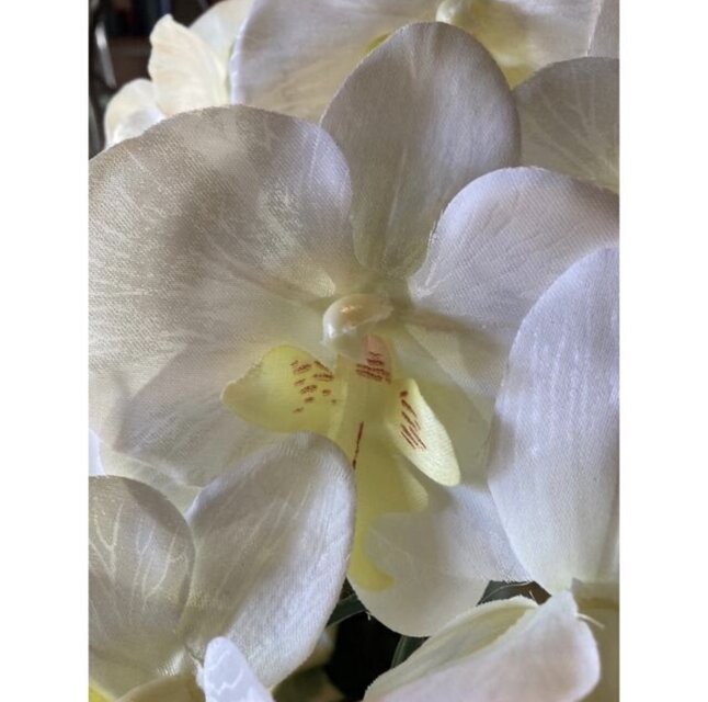 光触媒 人工観葉植物 ウォールグリーン フェイクグリーン 胡蝶蘭 光触媒 人工観葉植物 ウォールグリーン フェイクグリーン 胡蝶蘭