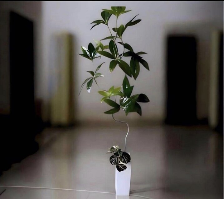 光触媒 人工観葉植物 ウォールグリーン フェイクグリーン ニューパキラ