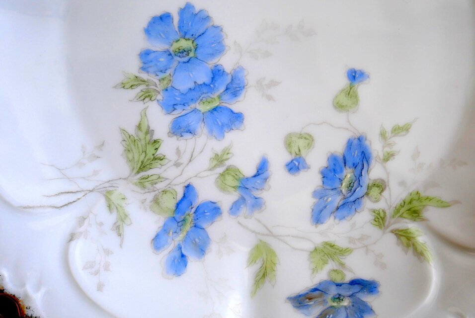 ブルーの花の絵付け ディナープレート 2枚セット | iichi 日々の