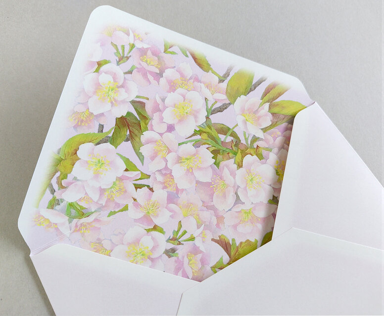 桜の和紙レターセット（ピンク） A5サイズ横書き | iichi 日々の暮らし