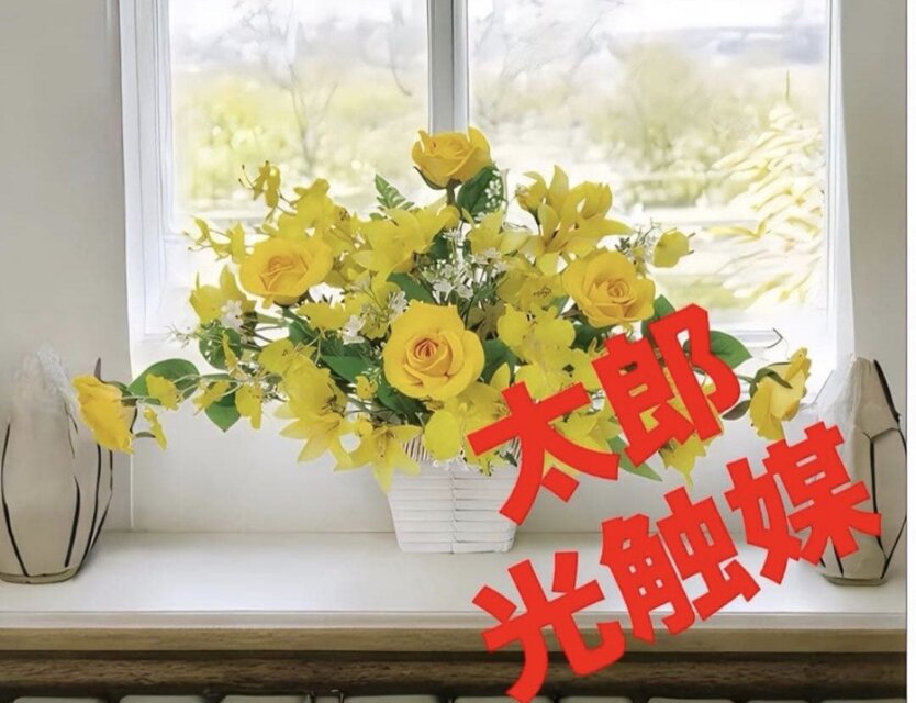 光触媒 人工観葉植物 ウォールグリーン フェイクグリーン サンプリーズ 