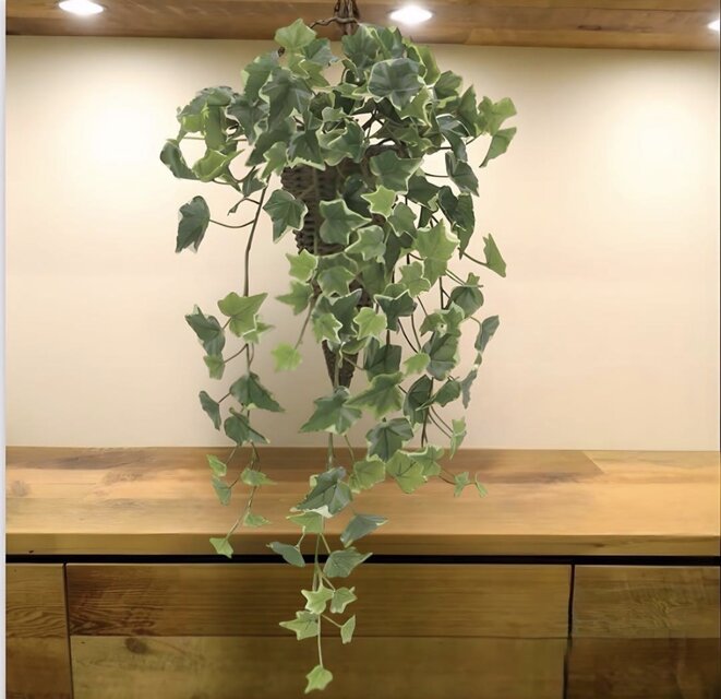 光触媒 人工観葉植物 ウォールグリーン フェイクグリーン 壁掛け斑入り
