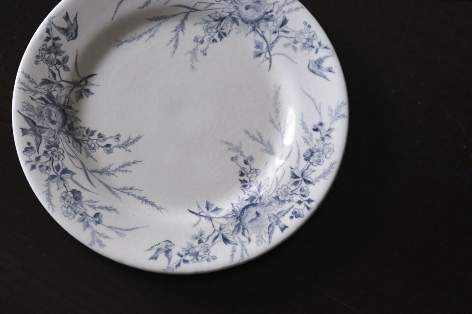 Creil&Montereau Linotte 平皿 20.8cm フランス アンティーク a