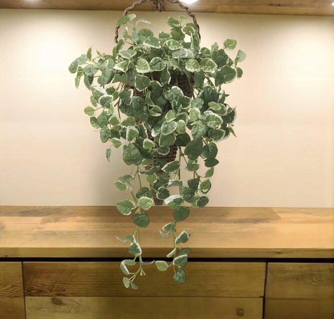 光触媒 人工観葉植物 ウォールグリーン フェイクグリーン 壁掛けプミラ