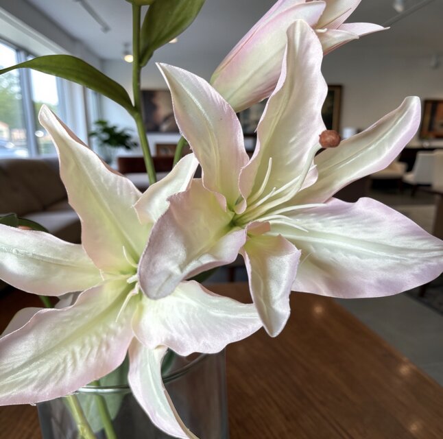 光触媒 人工観葉植物 ウォールグリーン フェイクグリーン マジカル