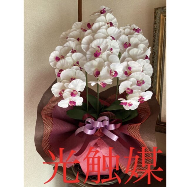 光触媒 人工観葉植物 ウォールグリーン フェイクグリーン 胡蝶蘭