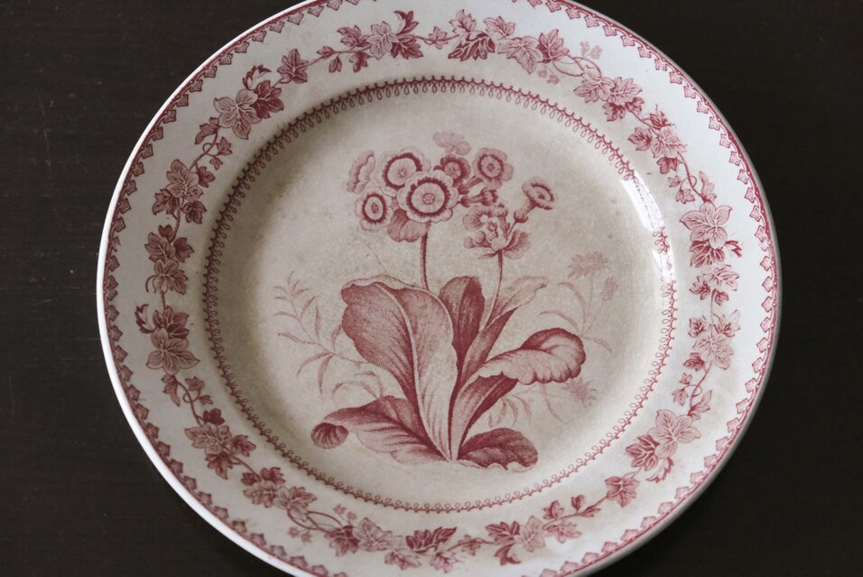 Creil クレイユ 平皿 植物柄 20.5cm フランス アンティーク b 0502341