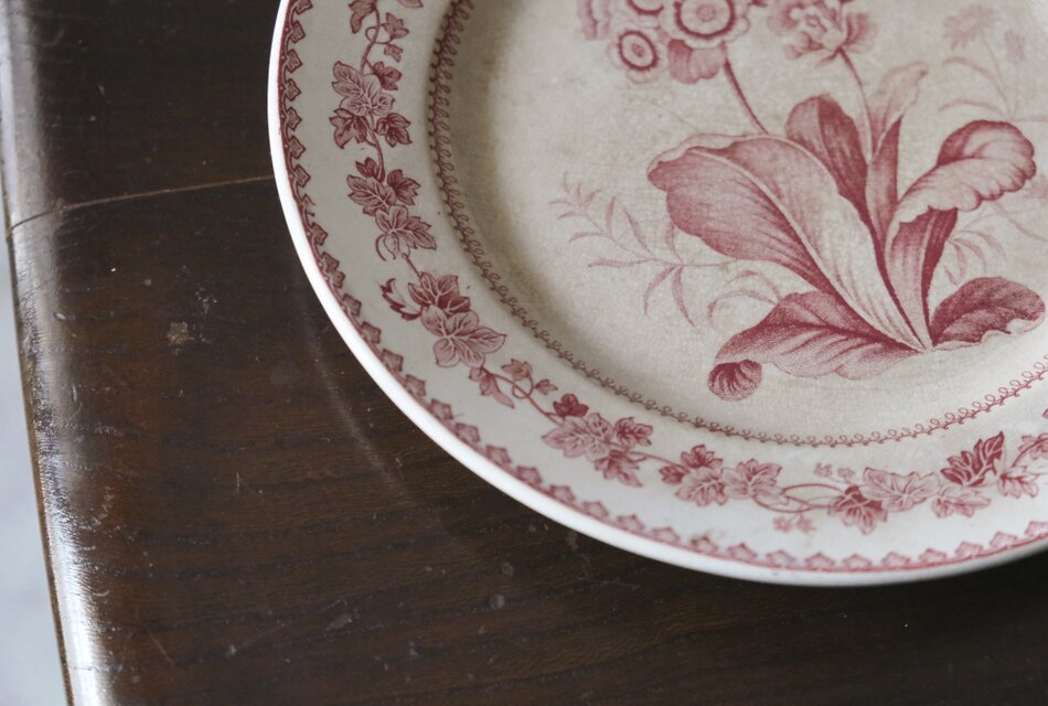 Creil クレイユ 平皿 植物柄 20.5cm フランス アンティーク b 0502341