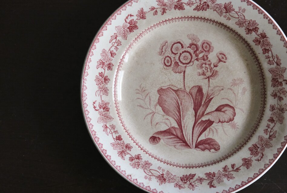 Creil クレイユ 平皿 植物柄 20.5cm フランス アンティーク b 0502341