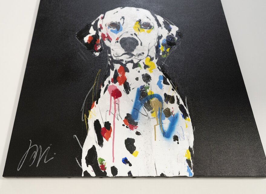 Dalmatian / ダルメシアン