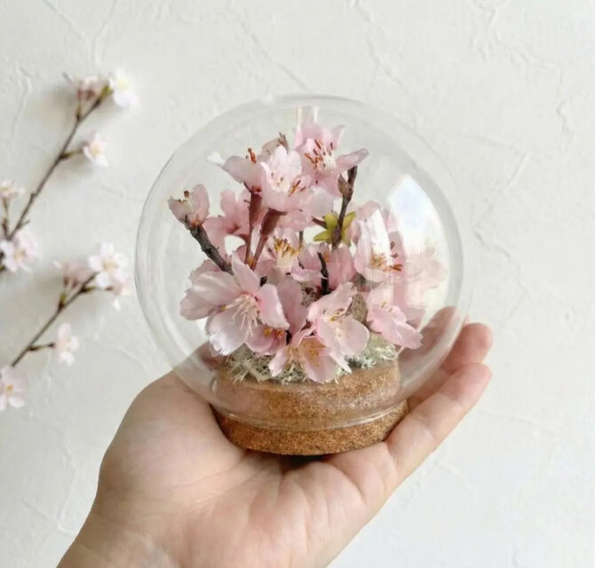 カーネーションガラスドーム Spring インテリア | iichi 日々の暮らし