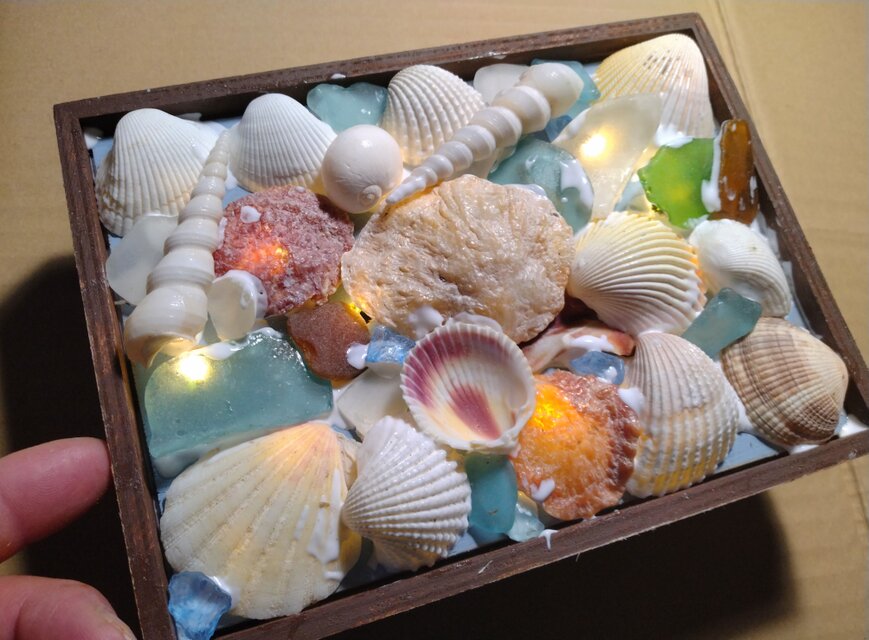 ☆貝殻は自然制作ですので変わります☆貝がらキラキラ・のっさむ君