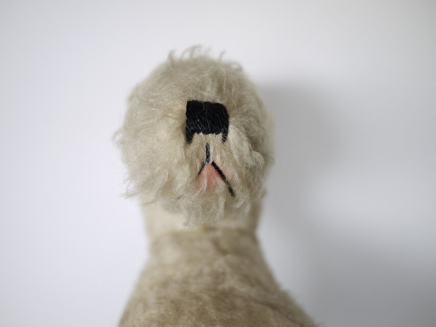 フォックス・テリア 犬のぬいぐるみ ドイツ アンティーク | iichi 日々