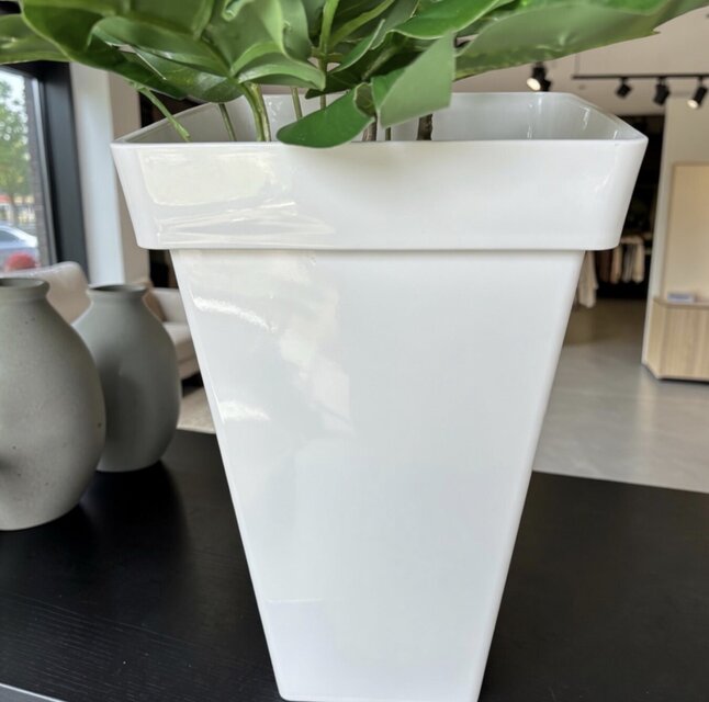 光触媒 人工観葉植物 ウォールグリーン フェイクグリーン スリムパキラ