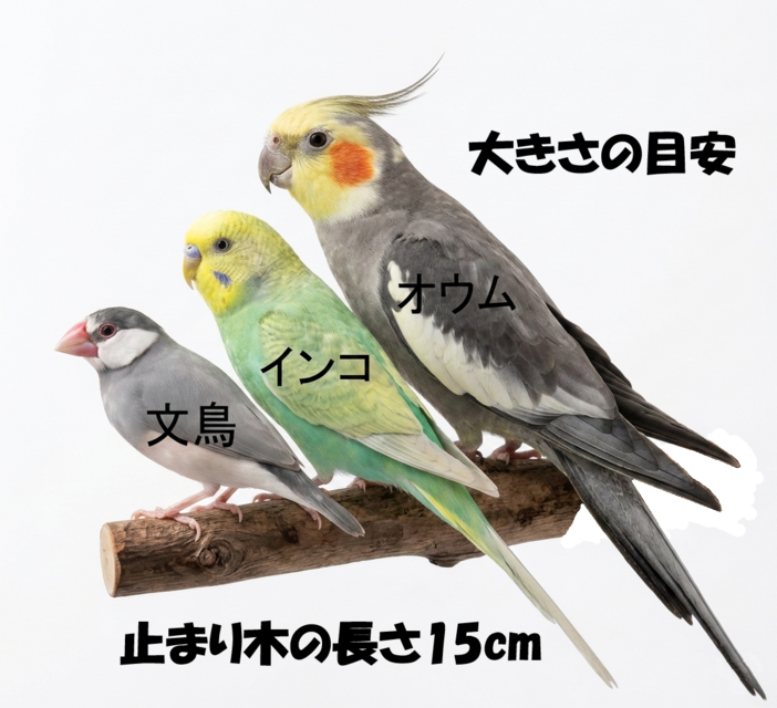 止まり木＜天然リンゴの木＞とまり木、文鳥、インコ、オウム、小鳥