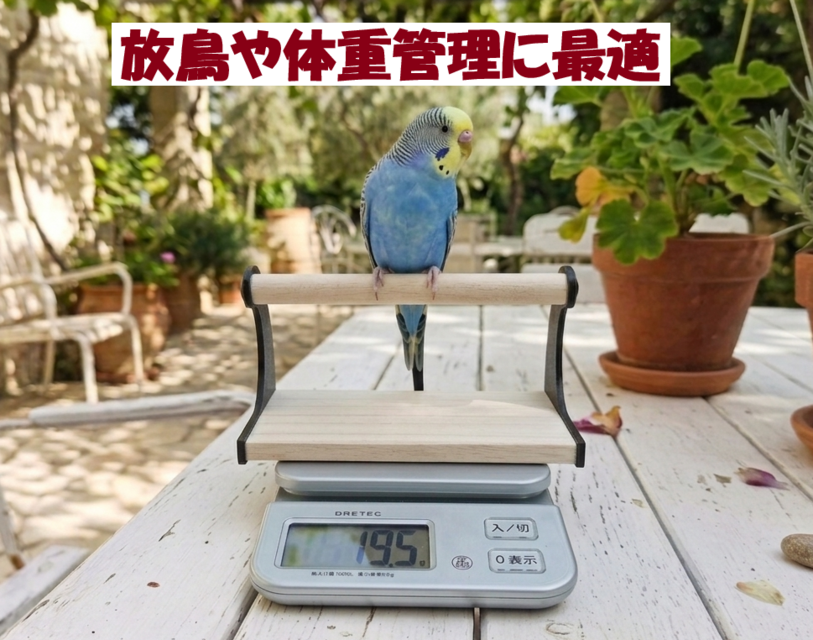 止まり木、ブランコ 3点セット 】文鳥、インコ、オウム、小鳥、パーチ