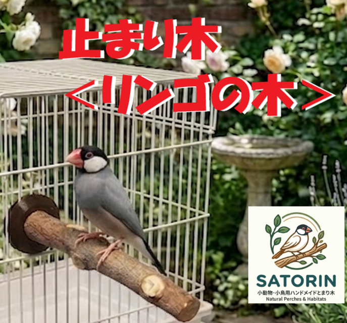 止まり木、ブランコ 3点セット 】文鳥、インコ、オウム、小鳥、パーチ
