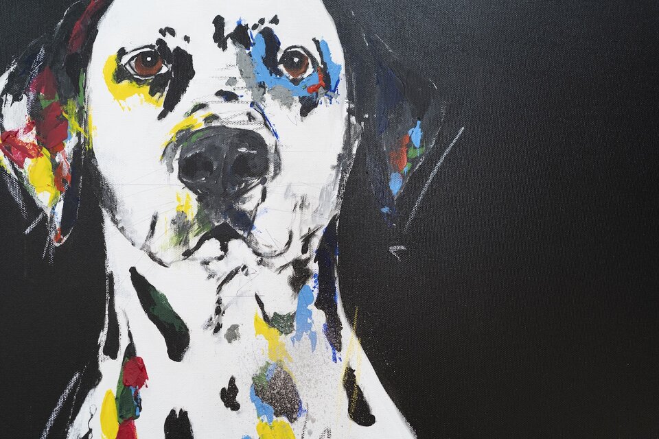 Dalmatian / ダルメシアン