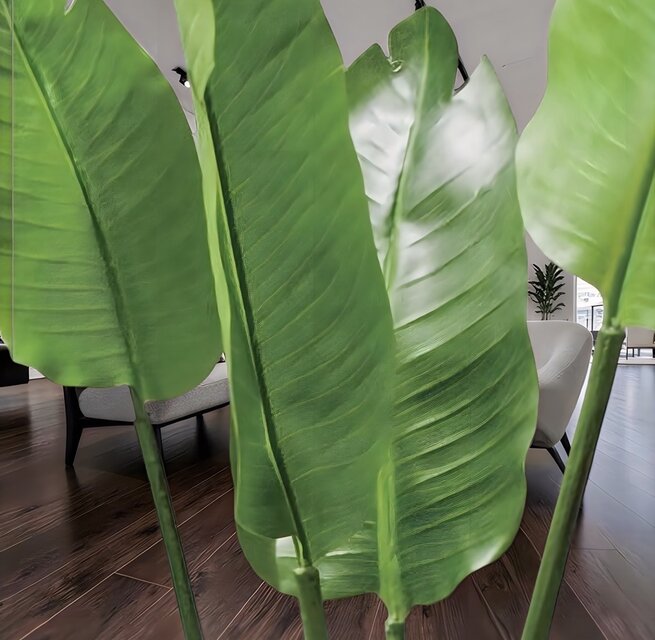 光触媒 人工観葉植物 ウォールグリーン フェイクグリーン オーガスタ