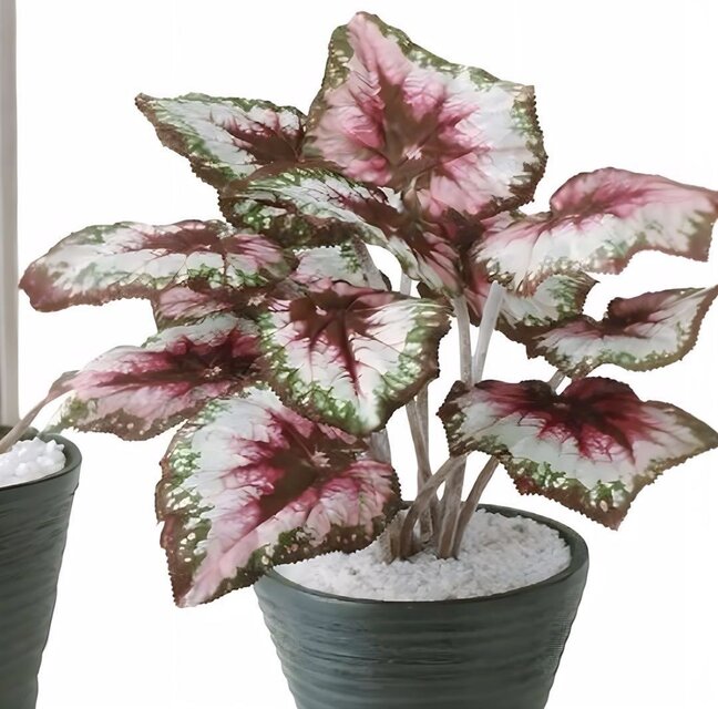光触媒 人工観葉植物 ウォールグリーン フェイクグリーン レックス