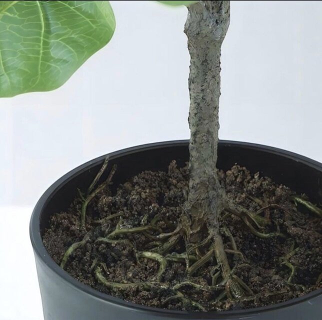 光触媒 人工観葉植物 ウォールグリーン フェイクグリーン デコラゴム