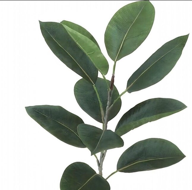 光触媒 人工観葉植物 ウォールグリーン フェイクグリーン デコラゴム