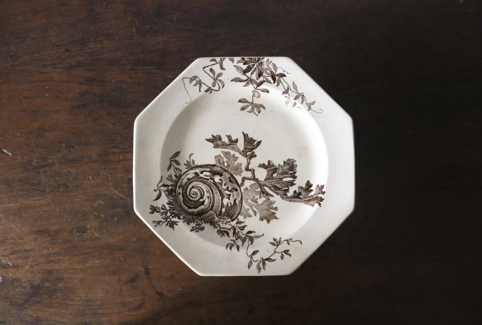 ウェッジウッド●コンポート●陶器●ボウル● コンポティエ Wedgwood NEPTUNE ウェッジウッド コンポティエ コンポート