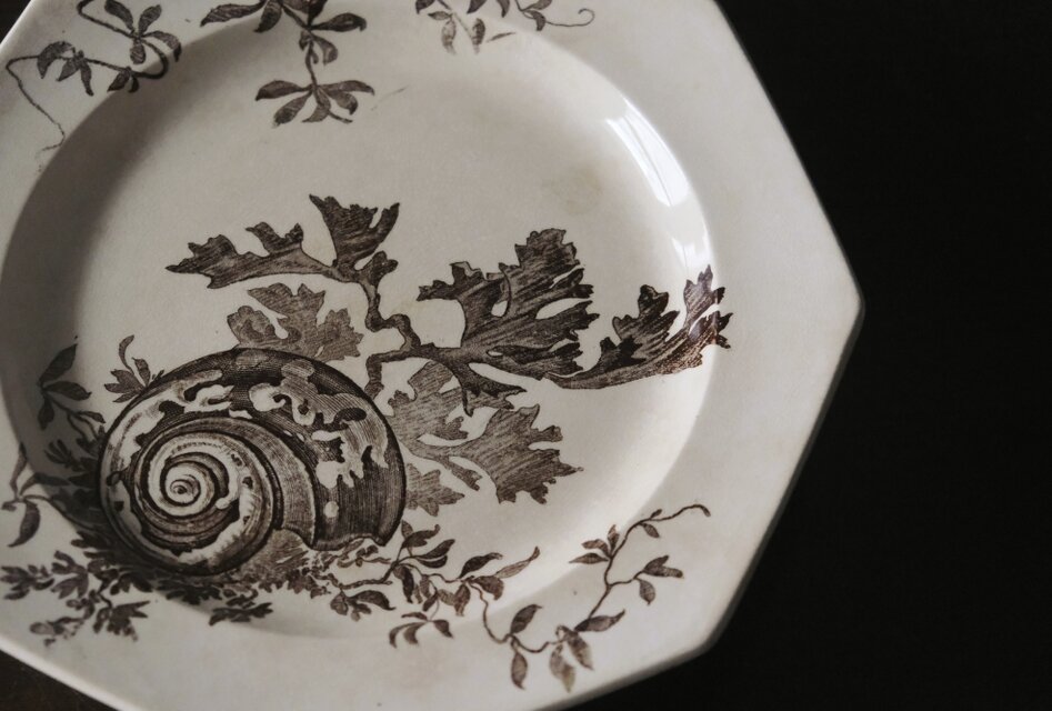 ウェッジウッド●コンポート●陶器●ボウル● コンポティエ Wedgwood NEPTUNE ウェッジウッド コンポティエ コンポート