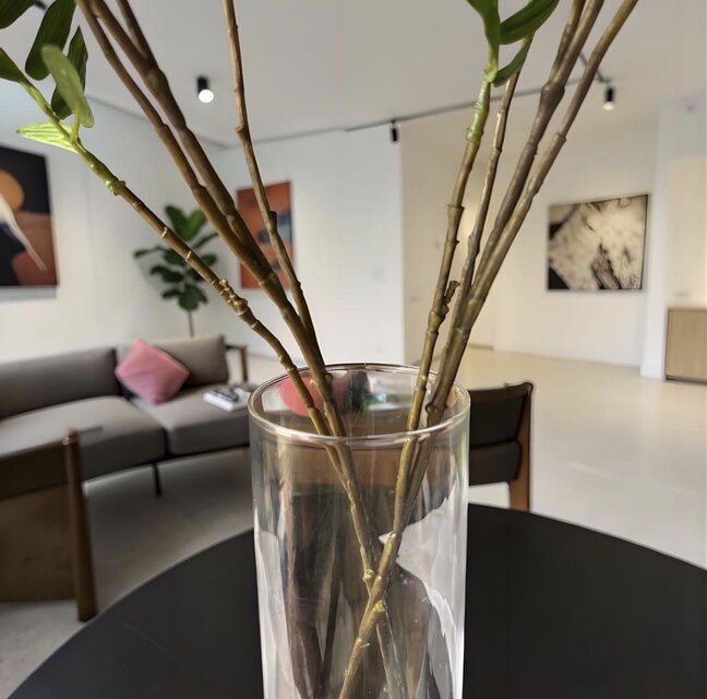 光触媒 人工観葉植物 ウォールグリーン フェイクグリーン マジカル