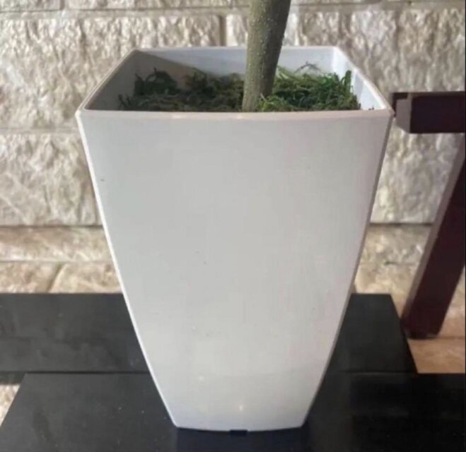 光触媒 人工観葉植物 ウォールグリーン フェイクグリーン カジュマル