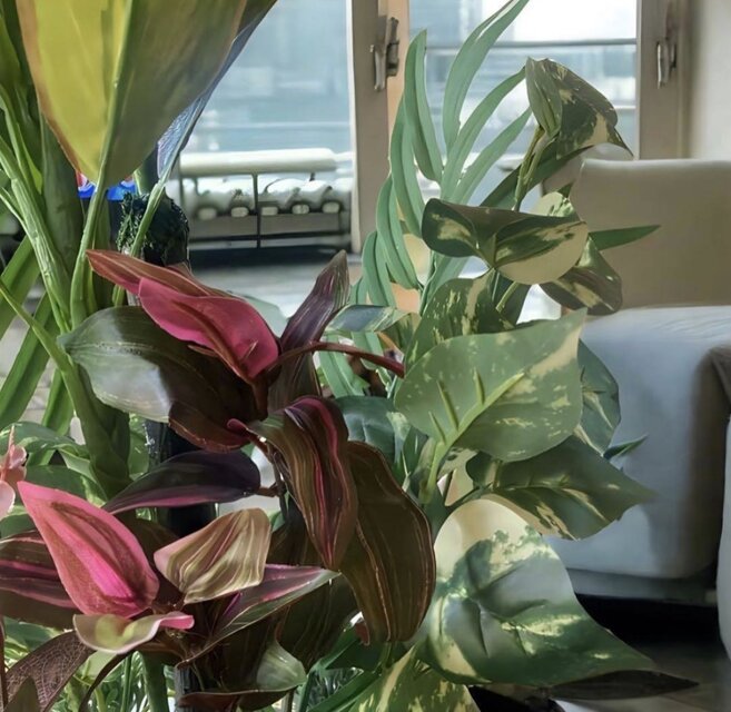光触媒　人工観葉植物　ウォールグリーン　フェイク　マッサンアレンジr15 光触媒 人工観葉植物 ウォールグリーン フェイクグリーン マッサン