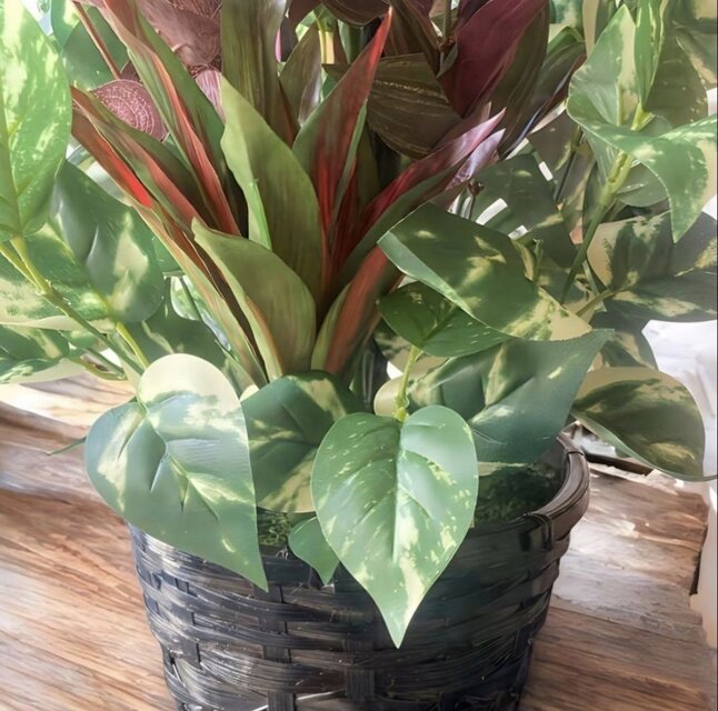 光触媒 人工観葉植物 ウォールグリーン フェイクグリーン マッサン