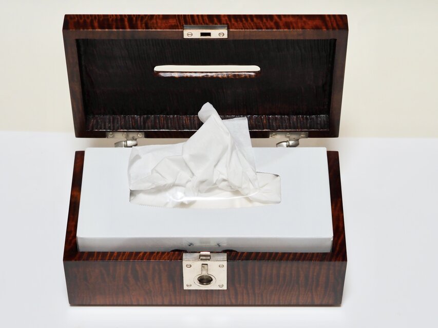 栃玉杢小物入れ　指物師最高傑作　名品 栃杢のセレブなティッシュケース | iichi 日々の暮らしを心地よくする