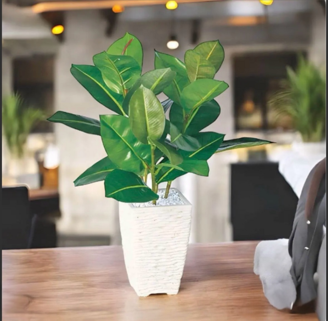 光触媒 人工観葉植物 ウォールグリーン フェイクグリーン ゴムノキ 