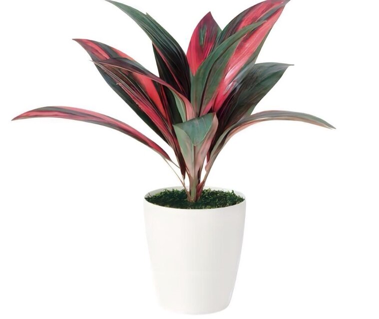 光触媒 人工観葉植物 ウォールグリーン フェイクグリーン レインボー
