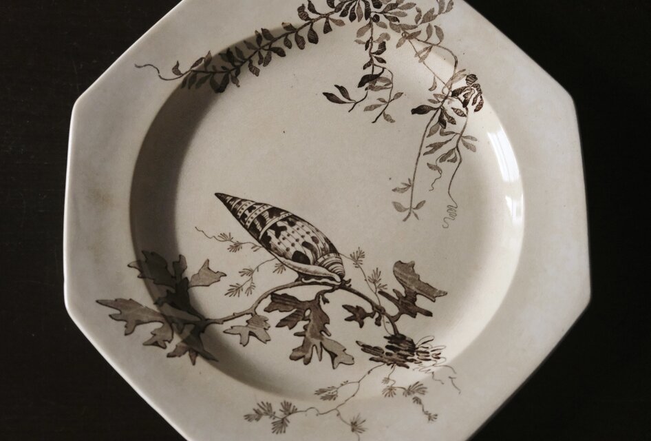 Wedgwood NEPTUNE ウェッジウッド ネプチューン オクトゴナル 平皿