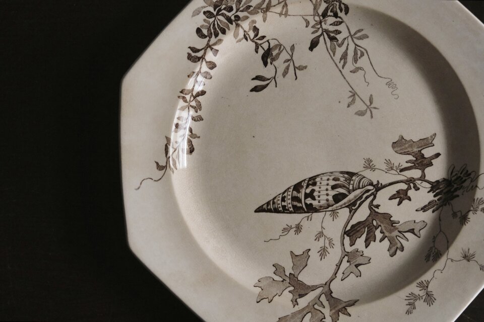 Wedgwood NEPTUNE ウェッジウッド ネプチューン オクトゴナル 平皿