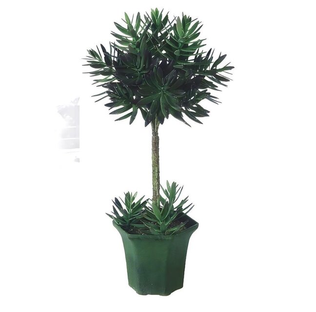 光触媒 人工観葉植物 ウォールグリーン フェイクグリーン エケベリア 